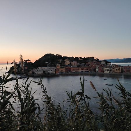 Apartament La Vie En Rose Flat Sestri Levante Zewnętrze zdjęcie
