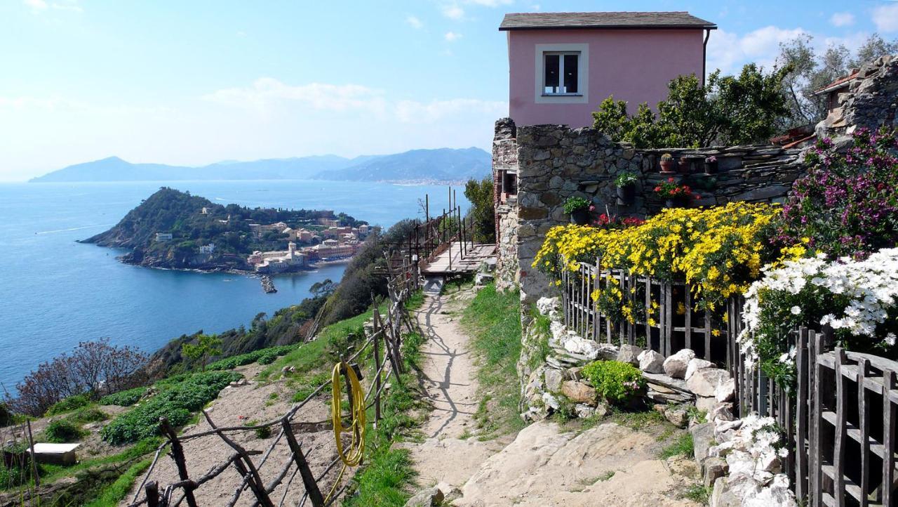 Apartament La Vie En Rose Flat Sestri Levante Zewnętrze zdjęcie
