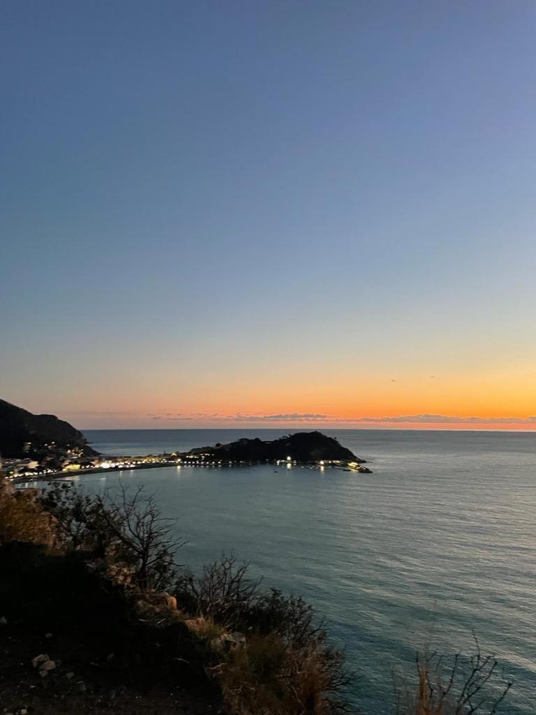 Apartament La Vie En Rose Flat Sestri Levante Zewnętrze zdjęcie